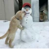 😋 Эмодзи «Новогодние Собаки» для Telegram
