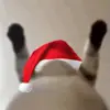 🤤 Эмодзи «Новогодний рандом пак» для Telegram