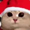 🙂 Эмодзи «Новогодний рандом пак» для Telegram