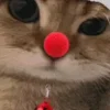 😡 Эмодзи «Новогодний рандом пак» для Telegram