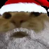 🙂‍↔️ Эмодзи «Christmas Random» для Telegram