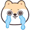 😭 Эмодзи «Circle Fox» для Telegram
