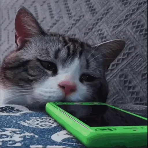 😢 Стикер «VP 5» для Telegram