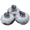 🍄 Эмодзи «Cold Eve» для Telegram
