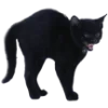 🐈‍⬛️ Эмодзи «Cold Eve» для Telegram