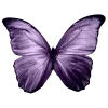 🤩 Эмодзи «Columbina» для Telegram