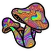 🍄 Эмодзи «Magic Mushroom» для Telegram