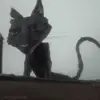 🐈‍⬛ Эмодзи «Coraline» для Telegram