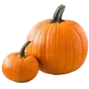🎃 Эмодзи «Coraline 𖦹» для Telegram