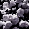 🤩 Эмодзи «𝒞𝑜𝑠֗𝑚𝑖𝑐 𝒫 𝑢𝑟͜͡𝑝𝑙𝑒» для Telegram