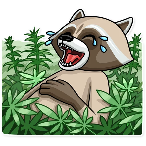 Стикерпак Criminal Raccoon для Telegram