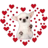 🤩 Эмодзи «🤩 Cute random» для Telegram