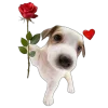 🤩 Эмодзи «🤩 Cute random» для Telegram