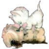 🤩 Эмодзи «🤩 Cute random» для Telegram