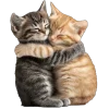 Эмодзи 🤩 Cute random для Telegram — скачать