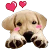 🤩 Эмодзи «🤩 Cute random» для Telegram
