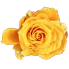 🌹 Эмодзи «Милые Цветочки» для Telegram