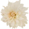 🌼 Эмодзи «Милые Цветочки» для Telegram