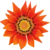 🌺 Эмодзи «Милые Цветочки» для Telegram