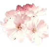 🌸 Эмодзи «Милые Цветочки» для Telegram