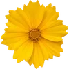 🌼 Эмодзи «Милые Цветочки» для Telegram