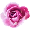 🌹 Эмодзи «Милые Цветочки» для Telegram