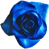 🪻 Эмодзи «Милые Цветочки» для Telegram