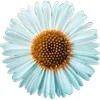 🌼 Эмодзи «Милые Цветочки» для Telegram