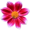 🌺 Эмодзи «Милые Цветочки» для Telegram