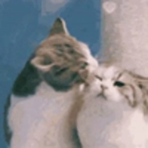 ☺️ Эмодзи «Cute Cats part 2Милые котики часть 2» для Telegram