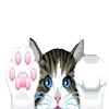 🥺 Эмодзи «𓊈Cute𓊉 𝒷𝓎» для Telegram