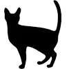 😊 Эмодзи «Cute Cats Adaptive» для Telegram