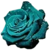 🌺 Эмодзи «𝘾𝙮𝙖𝙣 𝙚𝙢𝙤𝙟𝙞 ☞» для Telegram