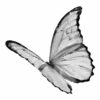 🦋 Эмодзи «КиберФея» для Telegram