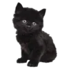 🐱 Эмодзи «КиберФея» для Telegram