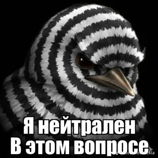 🤩 Стикер «ТгкXBOCTNKN_dogs» для Telegram