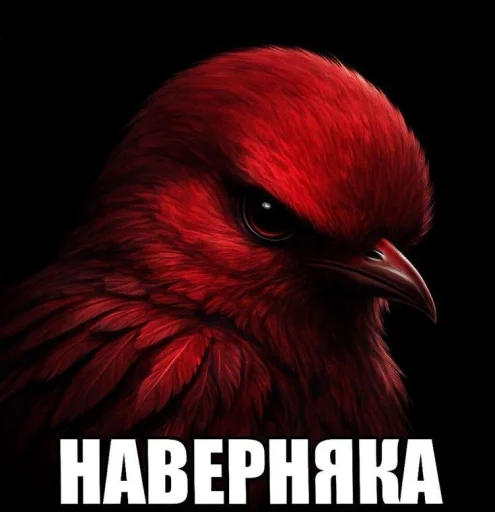 🤩 Стикер «ТгкXBOCTNKN_dogs» для Telegram