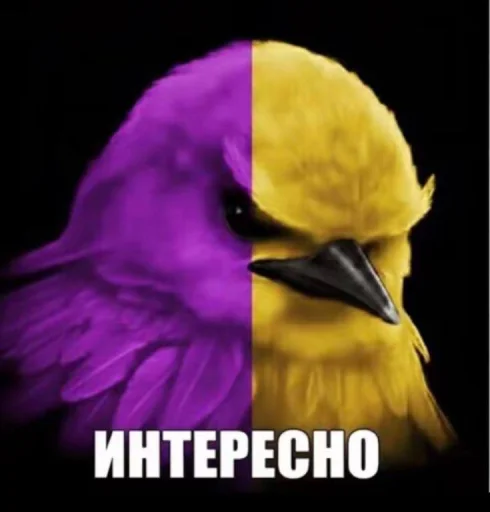 🤩 Стикер «ТгкXBOCTNKN_dogs» для Telegram