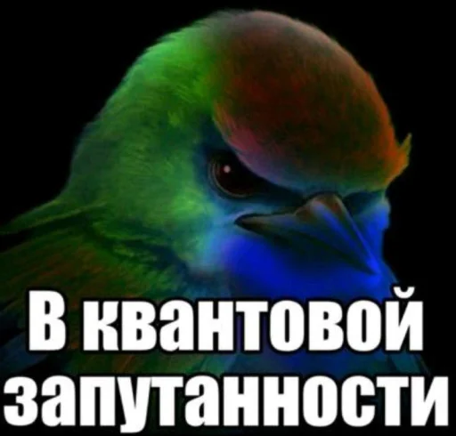 🤩 Стикер «ТгкXBOCTNKN_dogs» для Telegram