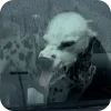 🚗 Эмодзи «Dalmatian» для Telegram