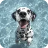 🐶 Эмодзи «Dalmatian» для Telegram