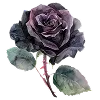 Эмодзи 🤎 Dark Academy для Telegram — скачать