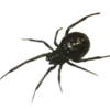 🕷️ Эмодзи «Dark Mood» для Telegram