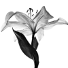 🌸 Эмодзи «Dark Mood» для Telegram