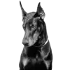 🐕‍🦺 Эмодзи «Dark Mood» для Telegram