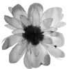 🌸 Эмодзи «Dark Mood» для Telegram