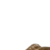 🤩 Эмодзи «Dark academia» для Telegram