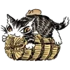 💿 Эмодзи «Котик Даян» для Telegram