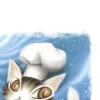 💿 Эмодзи «Котик Даян» для Telegram