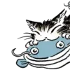 💿 Эмодзи «Котик Даян» для Telegram